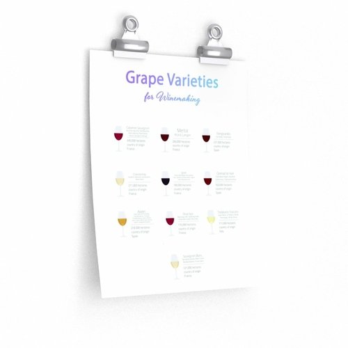 Grape Varieties for Winemaking Poster Room Decor - Image 2